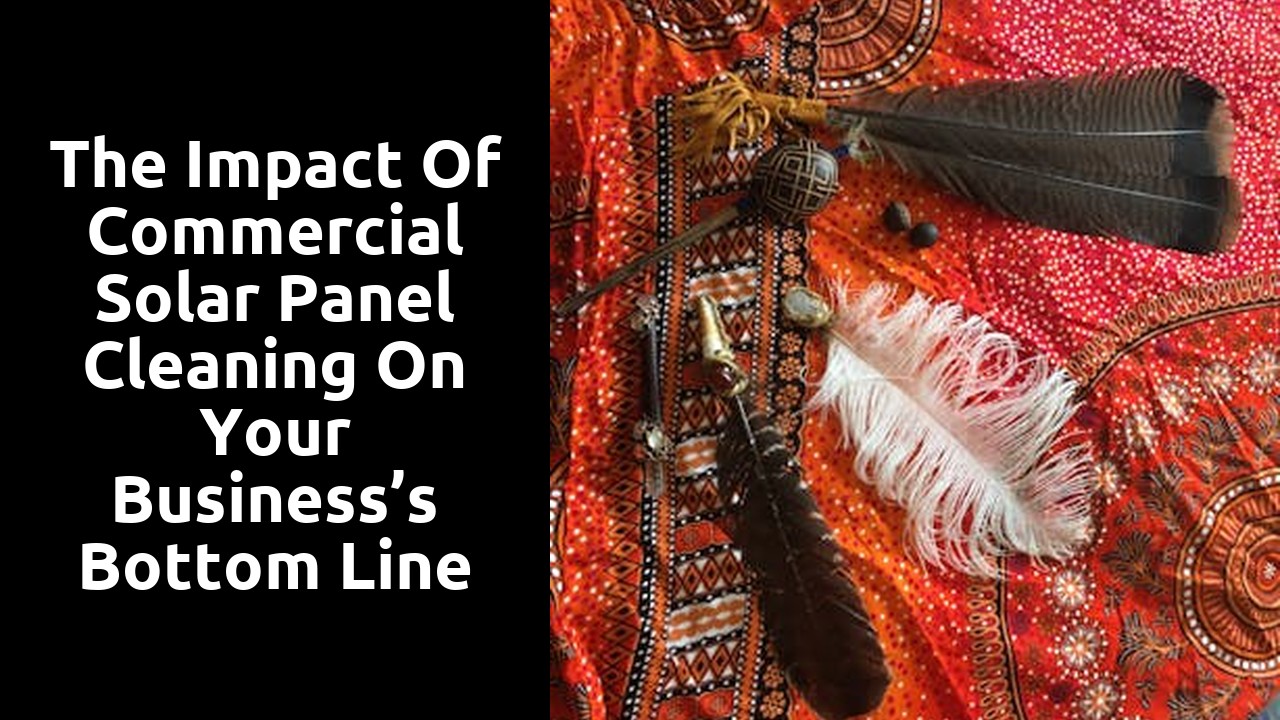 The Impact of Commercial Solar Panel Cleaning on Your Business’s Bottom Line